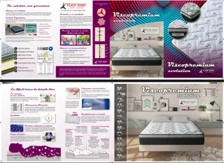 Colchon New Viscopremium Evolution