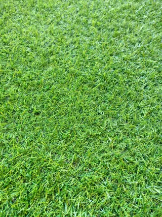 césped artificial nuevo