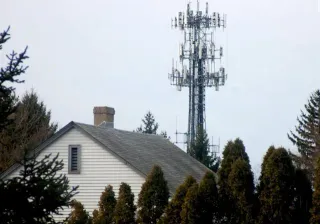 Jaula Faraday Wifi  Protección EMF Radiaciones !