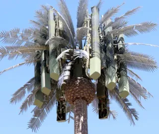 Jaula Faraday Wifi  Protección EMF Radiaciones !