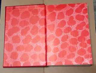 Libro El Ingenioso Hidalgo Don Quijote de la Manch