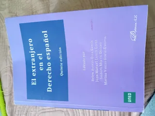 El extranjero en el Derecho español