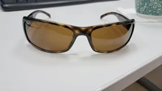 Gafas de sol RayBan RB 4088