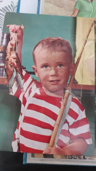 Postal antigua Sutileza de pétalo