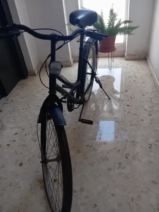 Bicicleta Clásica Negra