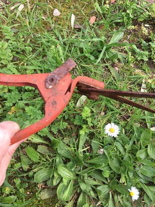 Antiche forbici da giardino