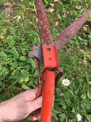 Antiche forbici da giardino