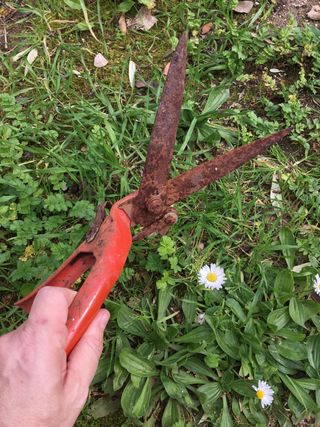 Antiche forbici da giardino