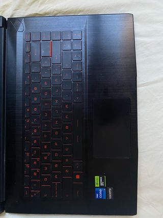 Portátil MSI GF63 Thin 11UC