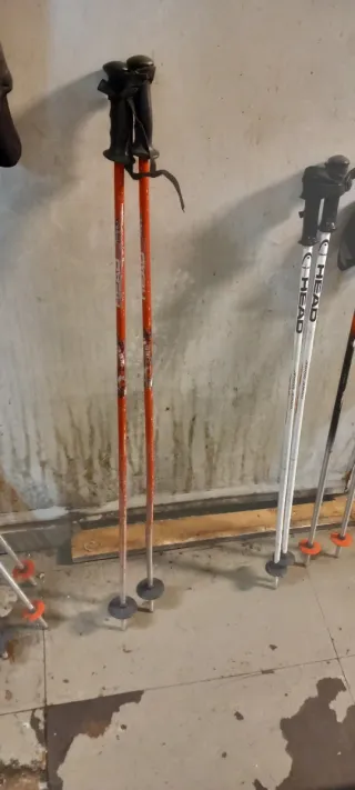 Palos de esquí