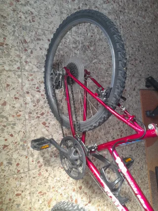 Bicicleta Montaña Bike 985 Roja