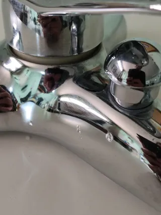 Grifo Roca Bañera Ducha Plata