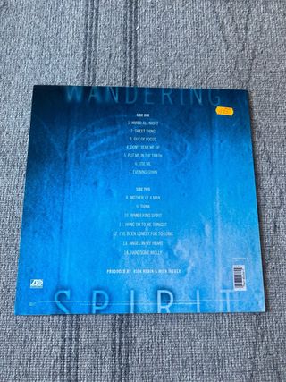 Vinilo Mick Jagger Wandering Spirit