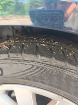 Renault Laguna 2002 precisa de motor