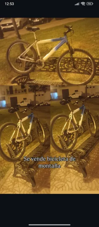 Bicicleta de Montaña