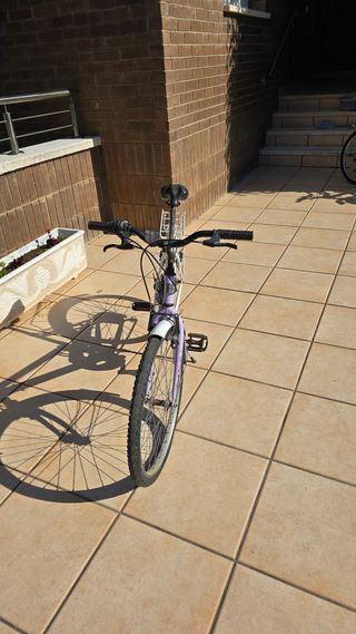 La bicicleta Topbike, de chicos