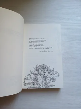 Las flores perdidas de Alice Hart / The Lost Fl...