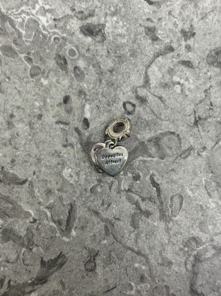 Charm Pandora Corazón Dama y Vagabundo