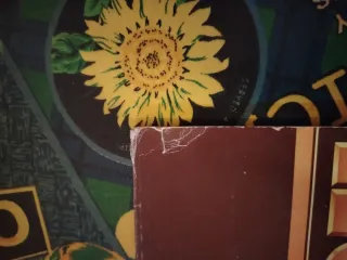 Levi's in Concerto - Country Music LP