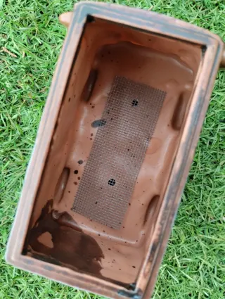 Cactus mammillaria polythele en maceta