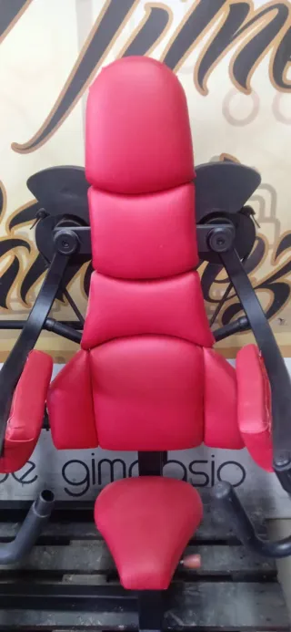 Lote de 2 máquinas de gimnasio