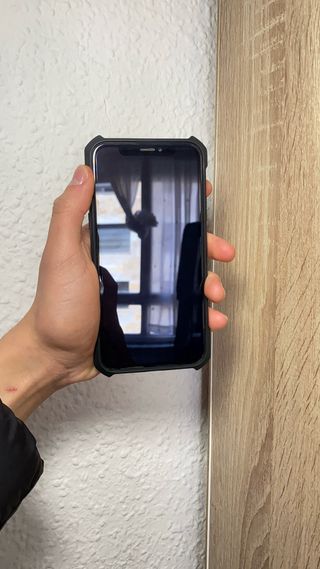 iPhone X 100% Batería