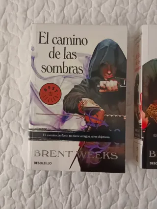 El camino de las sombras (El Ángel de la Noche ...