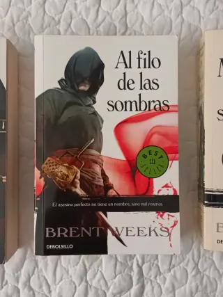 El camino de las sombras (El Ángel de la Noche ...