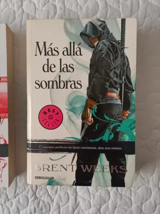 El camino de las sombras (El Ángel de la Noche ...