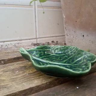 Salero y plato verde cerámica(c)