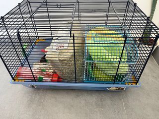 Pack Accesorios Hámster: Jaula, transportín...