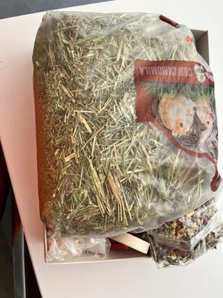 Pack Accesorios Hámster: Jaula, transportín...