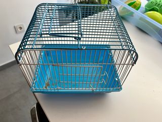 Pack Accesorios Hámster: Jaula, transportín...