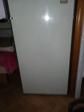 Nevera pequeña Fagor