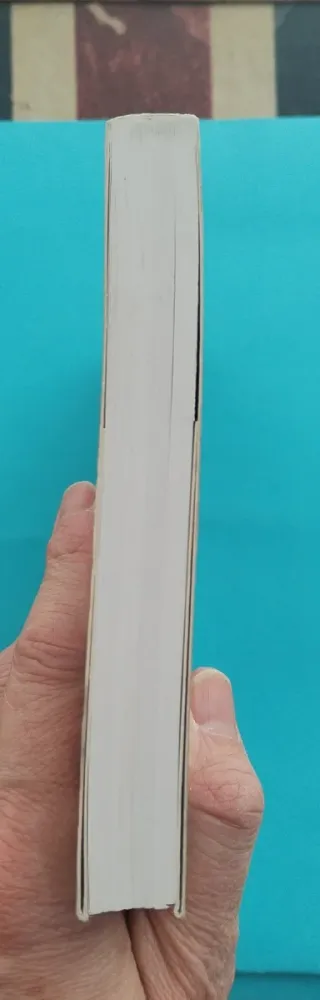 El destino de Connie Flint, de Camille Robertson