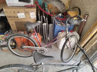 Bicicletas clásicas Westfalen y Active