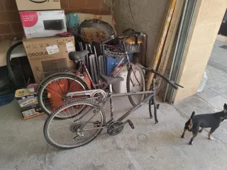 Bicicletas clásicas Westfalen y Active