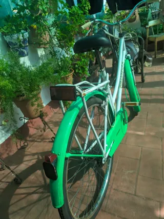 Bicicleta Girardengo Blanca y Verde