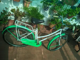 Bicicleta Girardengo Blanca y Verde
