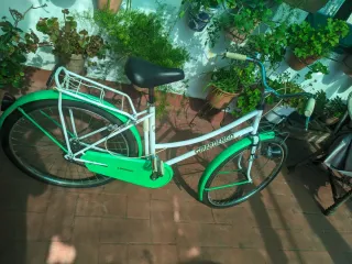Bicicleta Girardengo Blanca y Verde