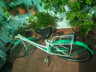 Bicicleta Girardengo Blanca y Verde