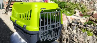 Arenero y transportín para gato