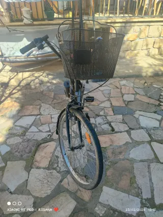 Bicicleta de paseo
