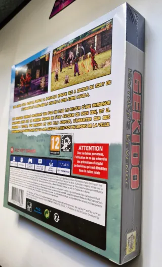 Gekido PS4 (PlayStation 4) Beat 'em up