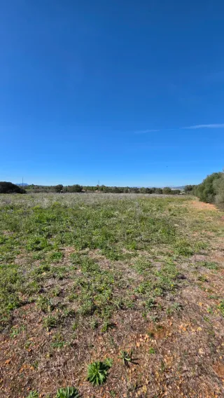 Finca rústica 21.600 metros