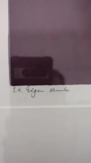 Litografía original firmada de Hans Dolieslager