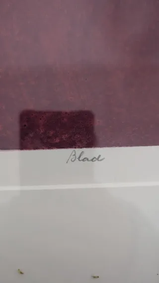 Litografía original firmada de Hans Dolieslager