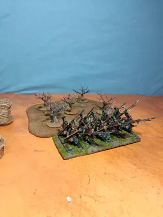 Bosque seco o terreno rocoso desértico warhammer