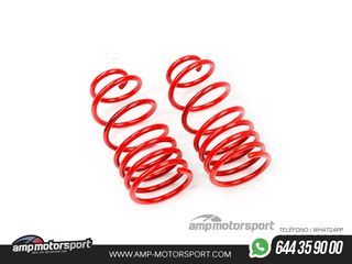 MUELLES DEPORTIVOS MTS TECHNIK MTSXPE005