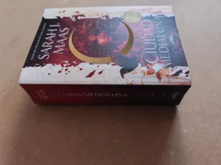 CASA DE TIERRA Y SANGRE (CIUDAD MEDIALUNA 1)